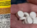 Butelka z lekiem Oxycodone i garść tabletek w dłoni.