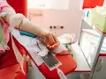 Ramię osoby poddawanej flebotomii, z którego krew płynie do worka.