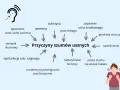 Schemat przyczyn szumów usznych z ikoną ucha i schematyczną postacią.