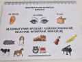 Alternatywne sposoby porozumiewania się osób niesłyszących, które działają
