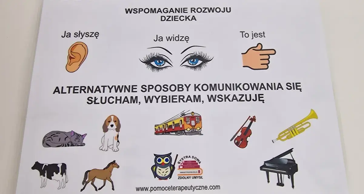 Alternatywne sposoby porozumiewania się osób niesłyszących, które działają