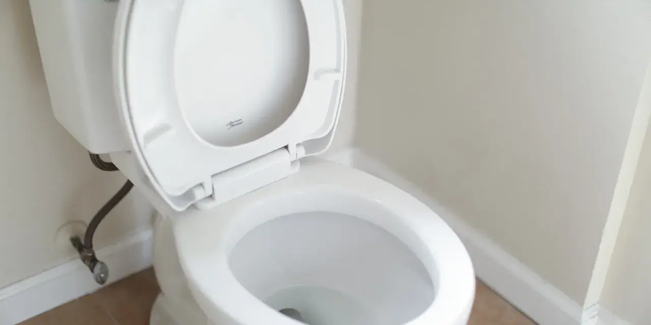 Dlaczego deska sedesowa dla niepełnosprawnych ma przerwę i jej zalety