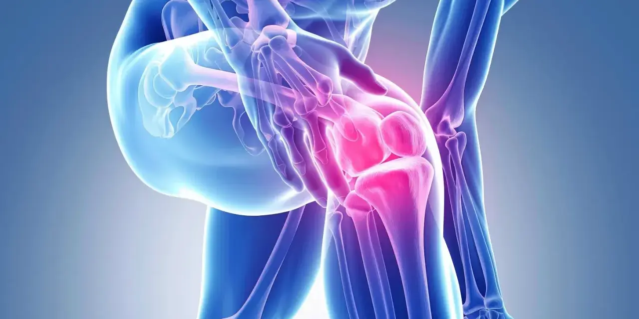 Anatomical illustration of a knee joint with highlighted areas of pain in pink.