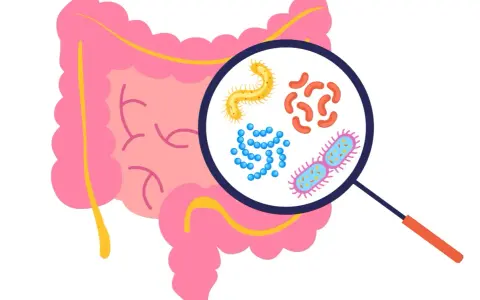 Mikroskop ukazuje bakterie w jelicie, w tym potencjalnie groźne Clostridium difficile, które mogą prowadzić do śmierci.