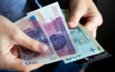 Dłonie trzymają polskie banknoty 20 zł i 100 zł. Wkrótce może pojawić się ryczałt energetyczny.