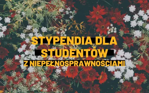 Stypendium dla niepełnosprawnych studentów - ile naprawdę wynosi?