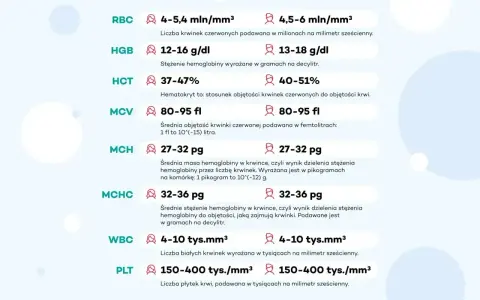 Morfologia co to? Tabela z normami dla RBC, HGB, HCT, MCV, MCH, MCHC, WBC, PLT.