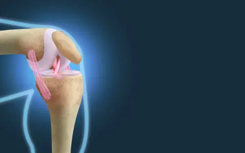 Ilustracja anatomiczna stawu kolanowego z widocznymi więzadłami.