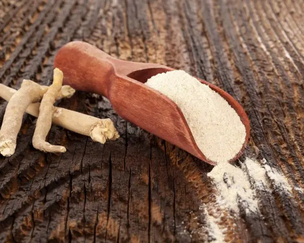 Korzeń i proszek ashwagandhy na drewnianym tle.