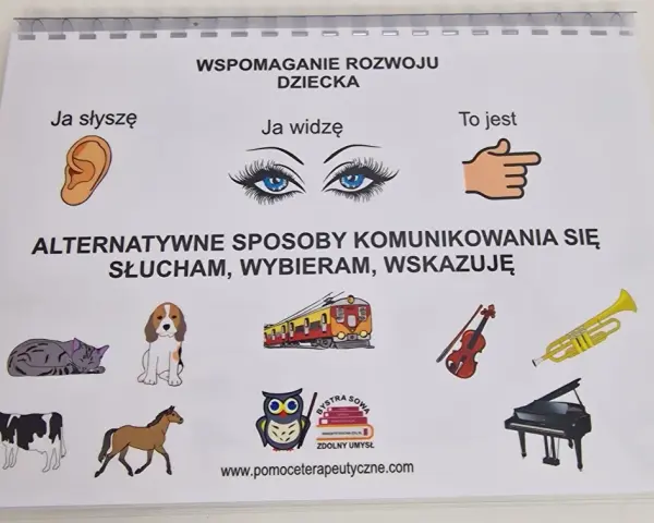 Alternatywne sposoby porozumiewania się osób niesłyszących, które działają