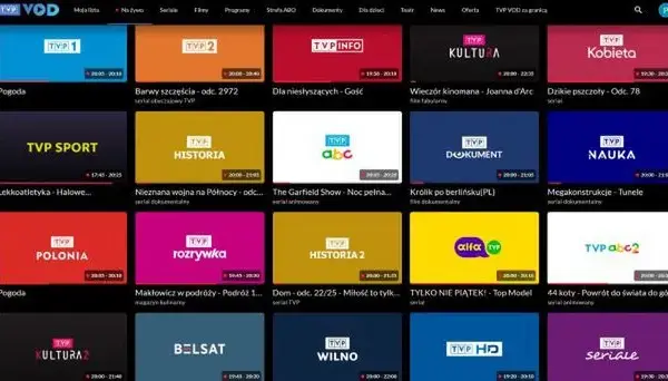Telewizja dla niesłyszących: programy i możliwości dostępu w Polsce