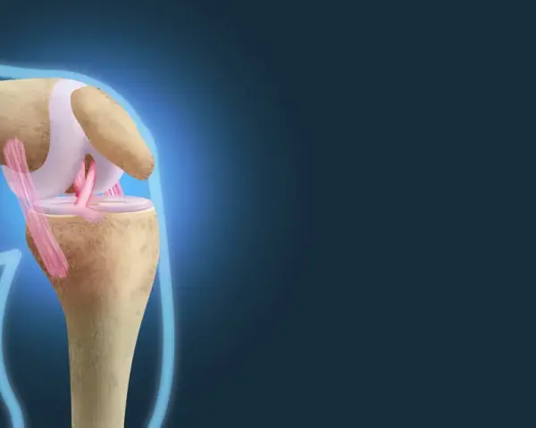 Ilustracja anatomiczna stawu kolanowego z widocznymi więzadłami.