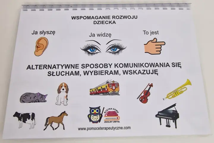 Alternatywne sposoby porozumiewania się osób niesłyszących, które działają