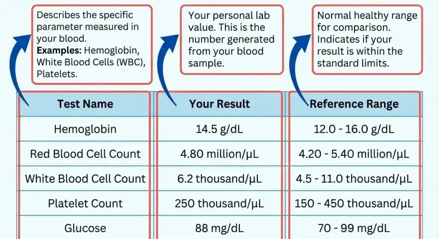 Przykładowy raport z badania krwi, pokazujący wyniki posiewu krwi, takie jak hemoglobina, liczba czerwonych i białych krwinek, płytki krwi, glukoza i cholesterol, wraz z normami.