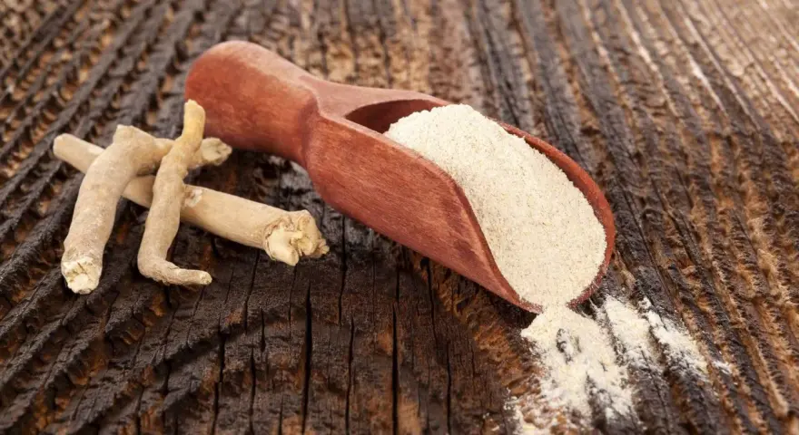 Korzeń i proszek ashwagandhy na drewnianym tle.