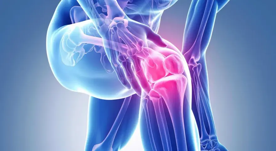 Anatomical illustration of a knee joint with highlighted areas of pain in pink.