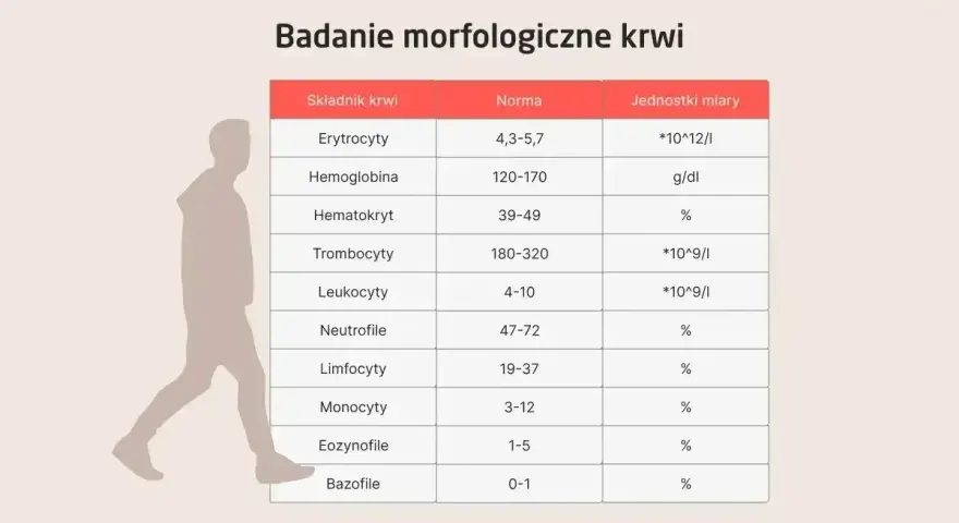 Tabela z badaniem morfologicznym krwi, pokazująca normy dla różnych składników. Widać tu m.in. leukocyty, neutrofile, limfocyty, monocyty, a także eozynofile. Podwyższone eozynofile mogą być tematem dyskusji na forum.