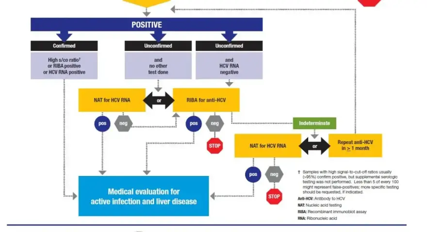 Schemat diagnostyki zakażenia HCV. Analizuje wyniki testów Anti-HCV, NAT, RIBA, by ocenić zapalenie wątroby typu C objawy.